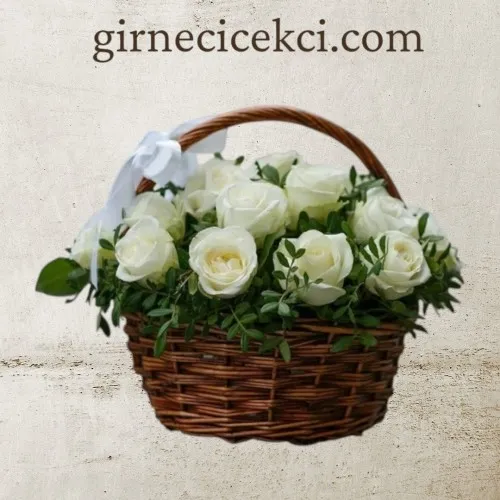 Sepette 21 Beyaz Gül Sepette 21 Beyaz Gül