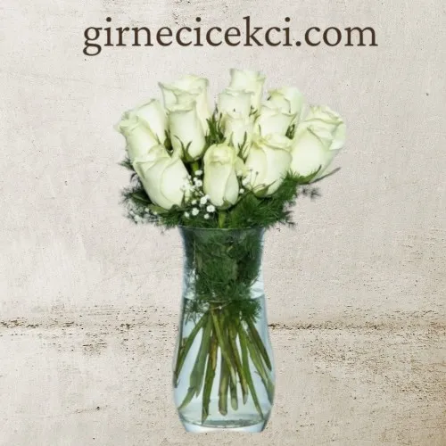 Vazoda 15 Beyaz Gül Vazoda 15 Beyaz Gül