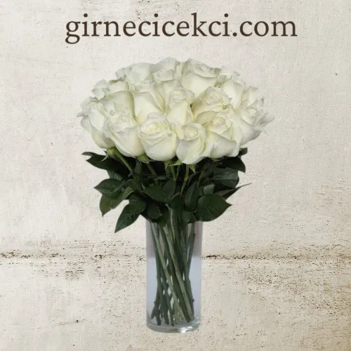 Vazoda 25 Beyaz Gül Vazoda 25 Beyaz Gül
