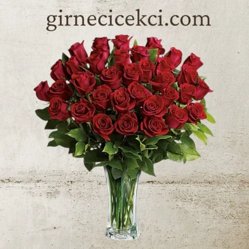 Vazoda 33 Kırmızı Gül Vazoda 33 Kırmızı Gül