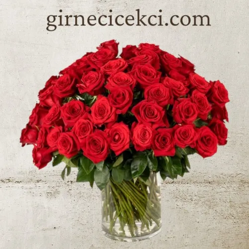 Vazoda 80 Kırmızı Gül Vazoda 80 Kırmızı Gül