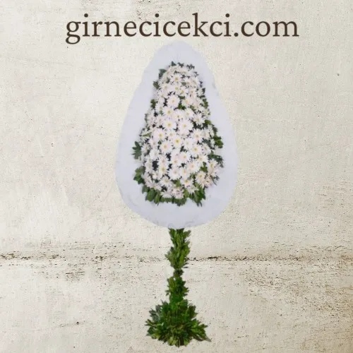 Beyaz Gerbera Açılış Düğün Çelenk Beyaz Gerbera Açılış Düğün Çelenk